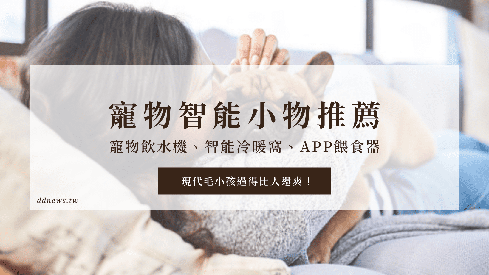 寵物日常 【寵物智能產品】寵物飲水機、智能冷暖窩、APP餵食器,現代毛小孩過得比人還爽!