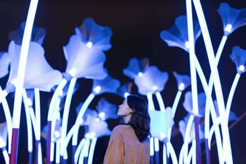 2022台灣燈會在高雄~聚光台灣 高雄發光! 2022高雄燈會