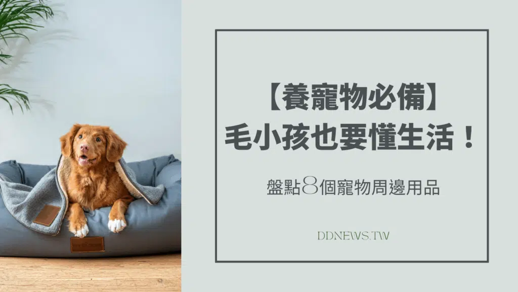 【養寵物必備】毛小孩也要懂生活！盤點8個寵物周邊用品，從配件到小物一次整理給你看～