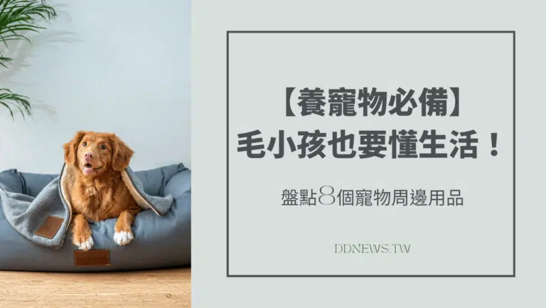 【養寵物必備】毛小孩也要懂生活！盤點8個寵物周邊用品，從配件到小物一次整理給你看～