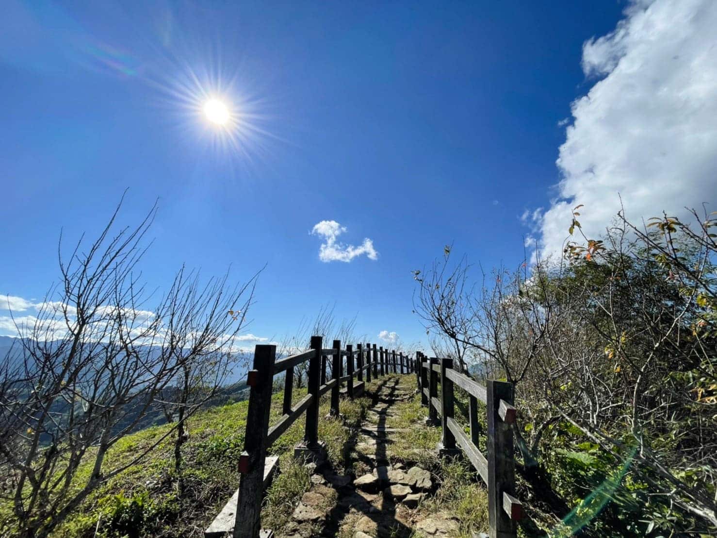 星月傳說露營地|360度環繞阿里山絕美山景,在星空下吃火鍋及鹽烤魚,必收露營景點 叮咚News|分享新奇與樂趣