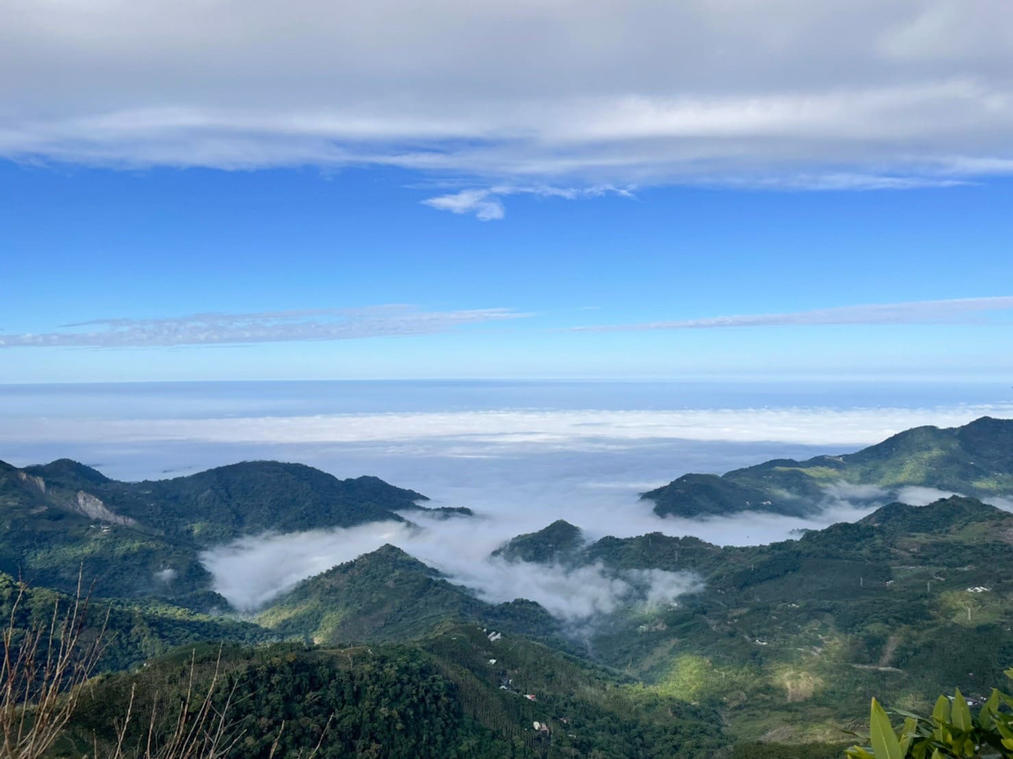 星月傳說露營地|360度環繞阿里山絕美山景,在星空下吃火鍋及鹽烤魚,必收露營景點 叮咚News|分享新奇與樂趣