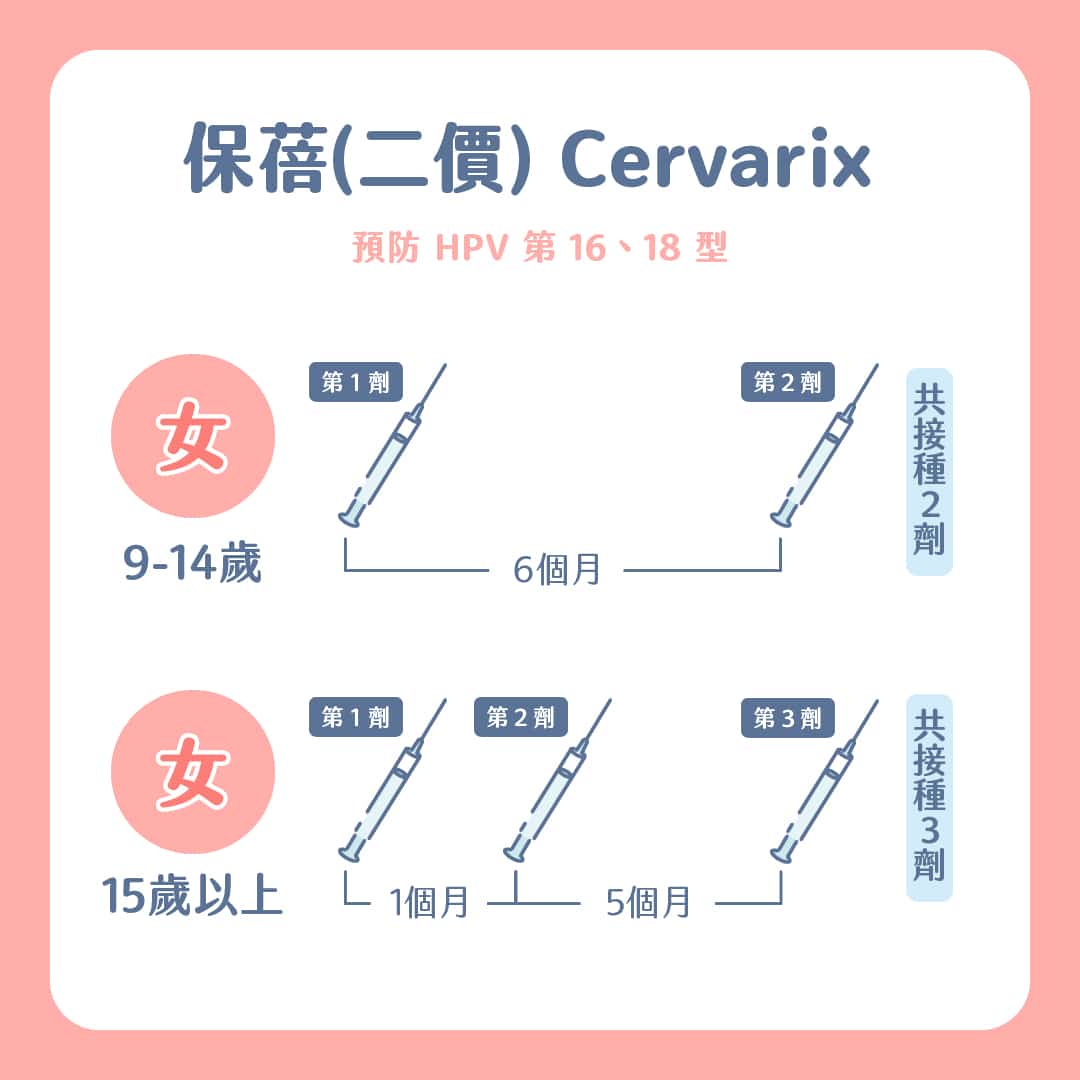 HPV疫苗可以預防子宮頸癌,男生也能打?何時打、哪些人適合接種?7個疫苗QA一次告訴你! 叮咚News|分享新奇與樂趣