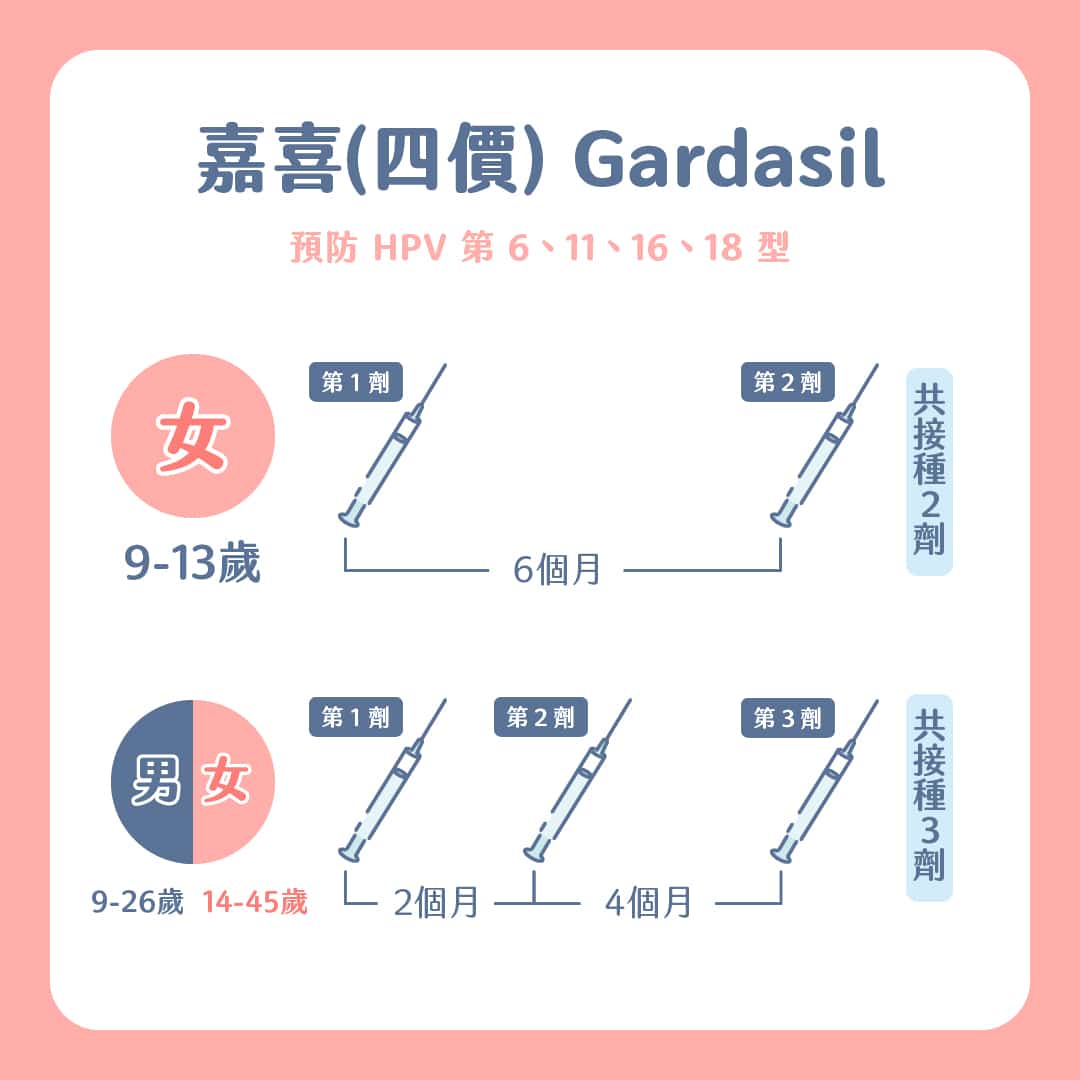 HPV疫苗可以預防子宮頸癌,男生也能打?何時打、哪些人適合接種?7個疫苗QA一次告訴你! 叮咚News|分享新奇與樂趣