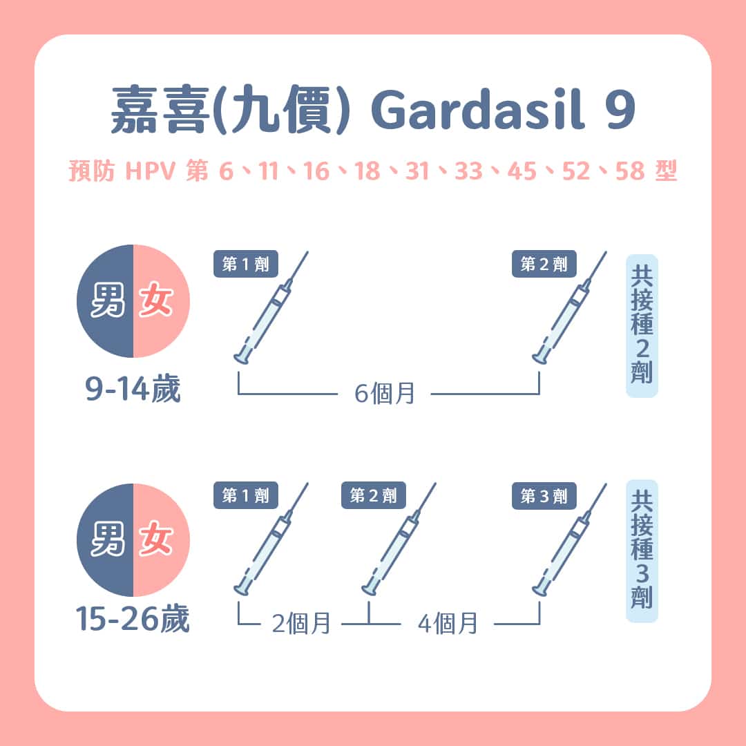HPV疫苗可以預防子宮頸癌,男生也能打?何時打、哪些人適合接種?7個疫苗QA一次告訴你! 叮咚News|分享新奇與樂趣