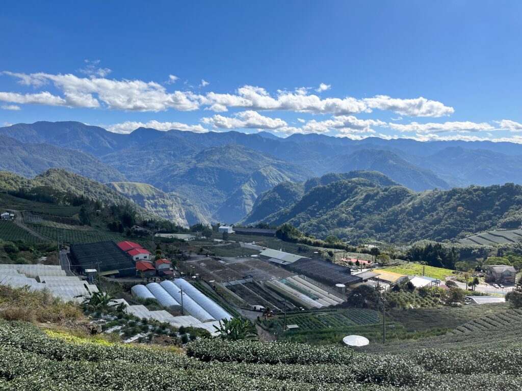 星月傳說真的是一個很棒的營地