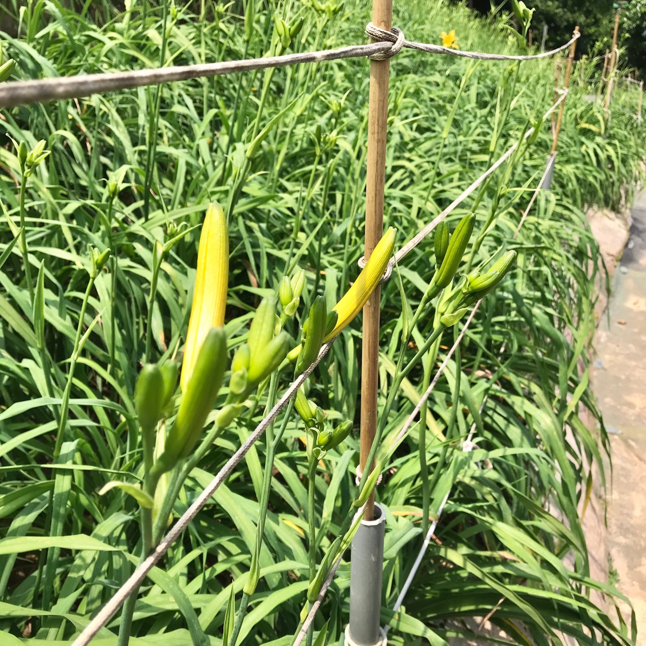 叮咚News｜分享新奇與樂趣
