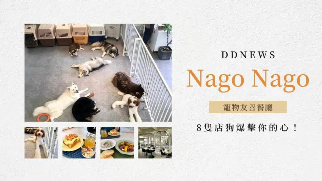台中寵物友善餐廳｜8隻店狗勾爆擊你的心！帶你開箱隱藏小巷內的Nago Nago～