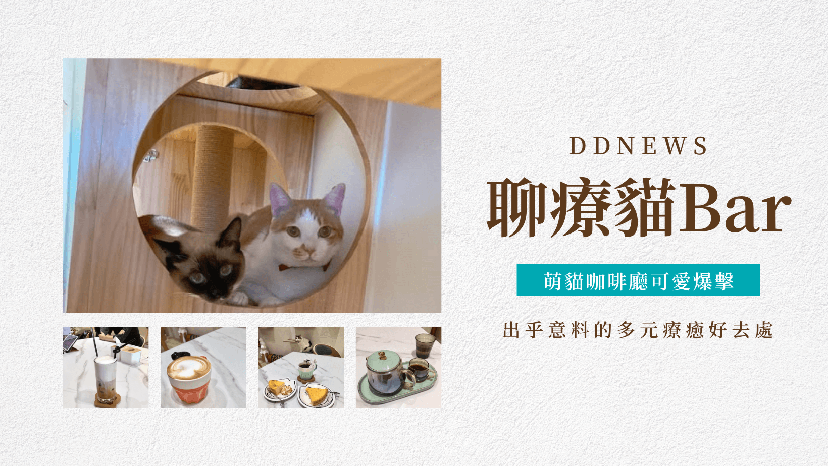 聊療貓Bar共學空間