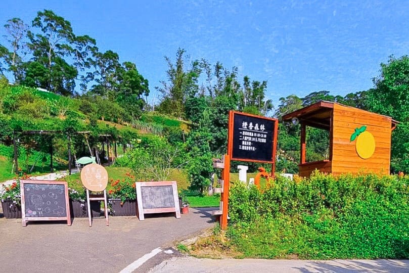 【橙香森林】苗栗著名網紅景點,好拍又好玩的台灣版濟州島浪漫橘子園 圖1.橙香森林
