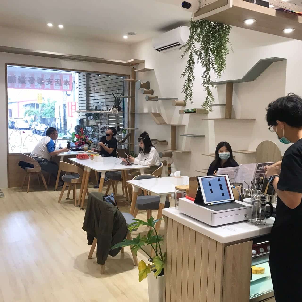 聊療貓Bar共學空間|台中大里區咖啡廳|貓咪可愛爆擊,融化你的心!出乎意料的多元療癒好去處~ 聊療貓Bar共學空間