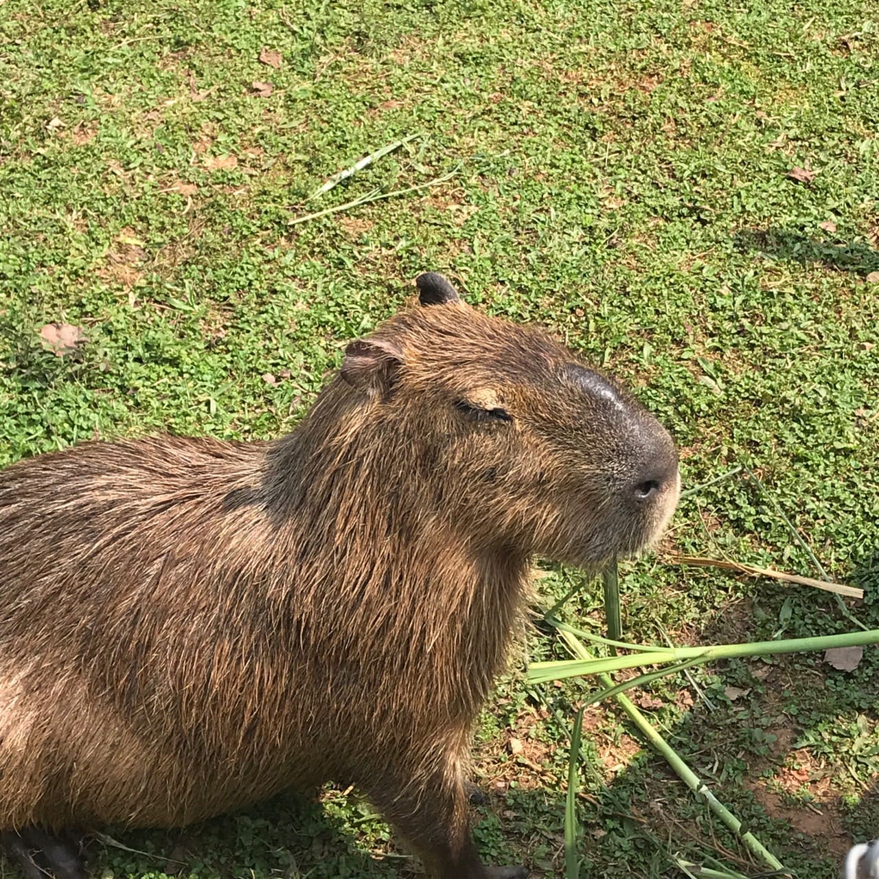 暖暮萌萌村