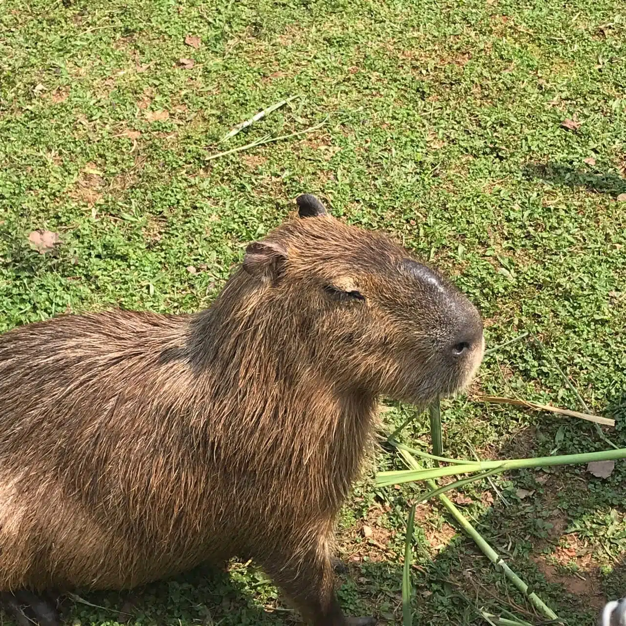 暖暮萌萌村