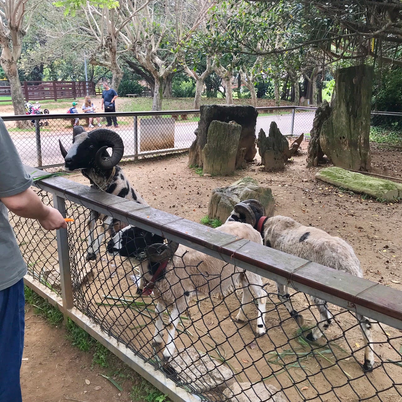 暖暮萌萌村