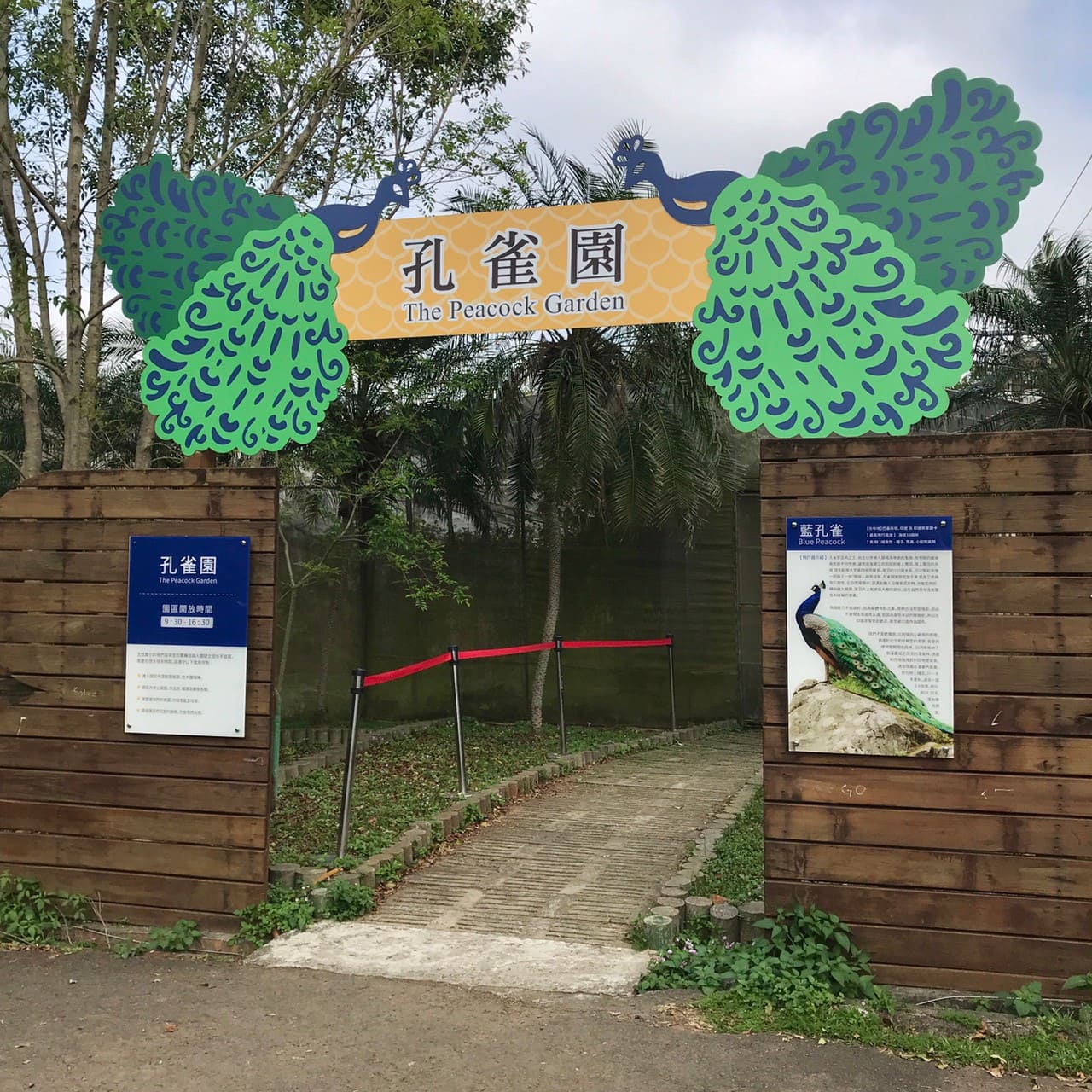 孔雀園
