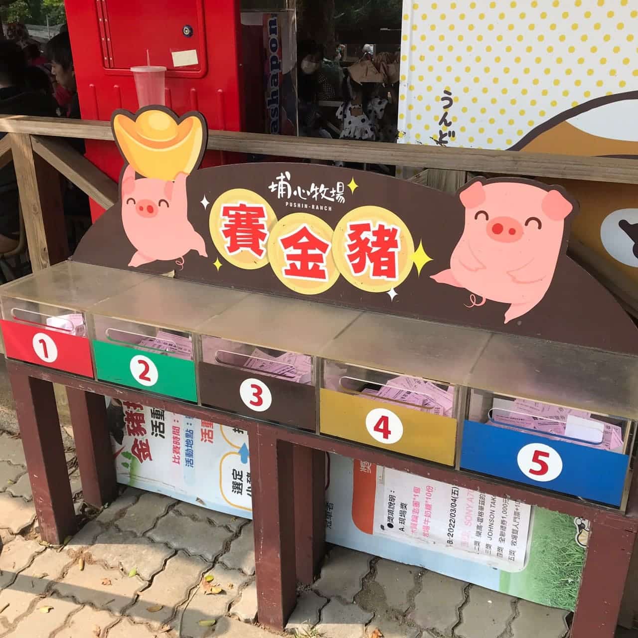 賽金豬