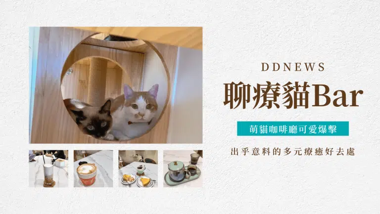 聊療貓Bar共學空間｜台中大里區咖啡廳｜貓咪可愛爆擊，融化你的心！出乎意料的多元療癒好去處～