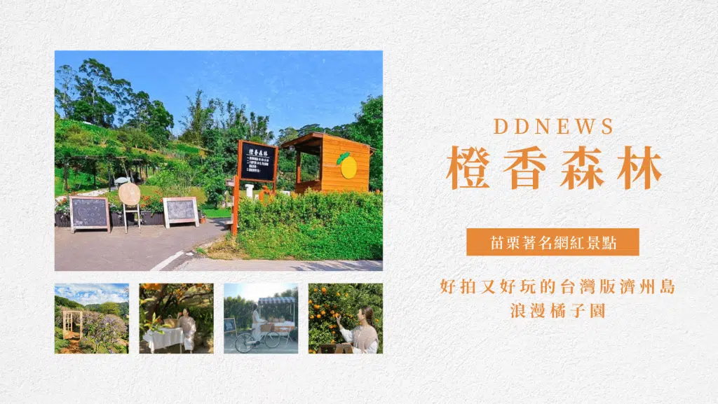 【橙香森林】苗栗著名網紅景點，好拍又好玩的台灣版濟州島浪漫橘子園