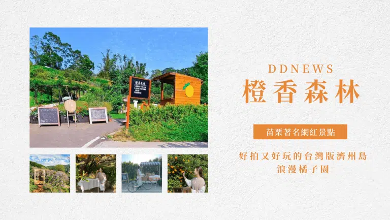【橙香森林】苗栗著名網紅景點，好拍又好玩的台灣版濟州島浪漫橘子園
