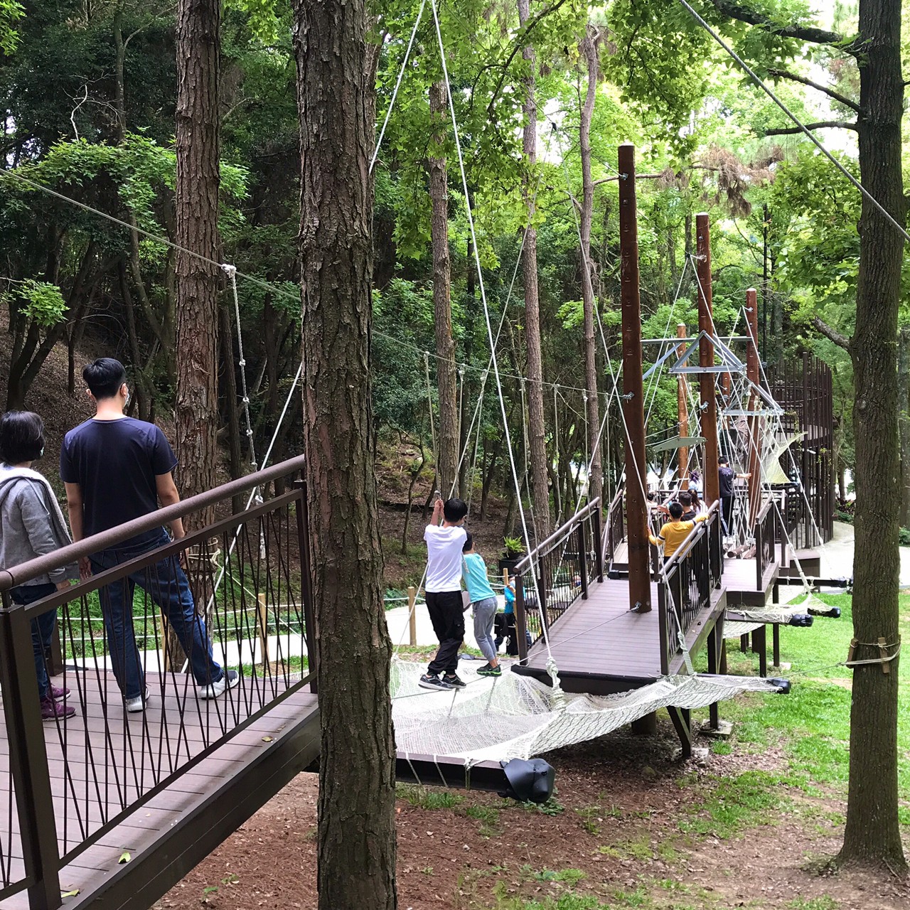 叮咚News｜分享新奇與樂趣