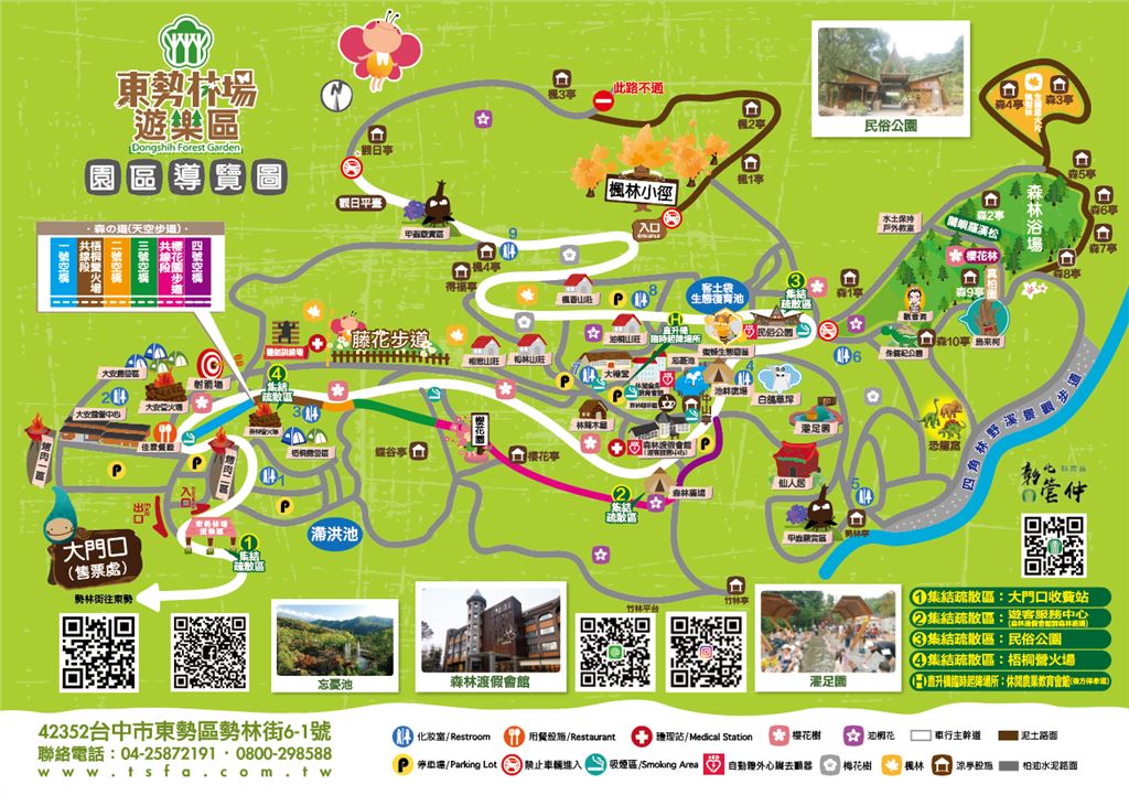 台中桐花季