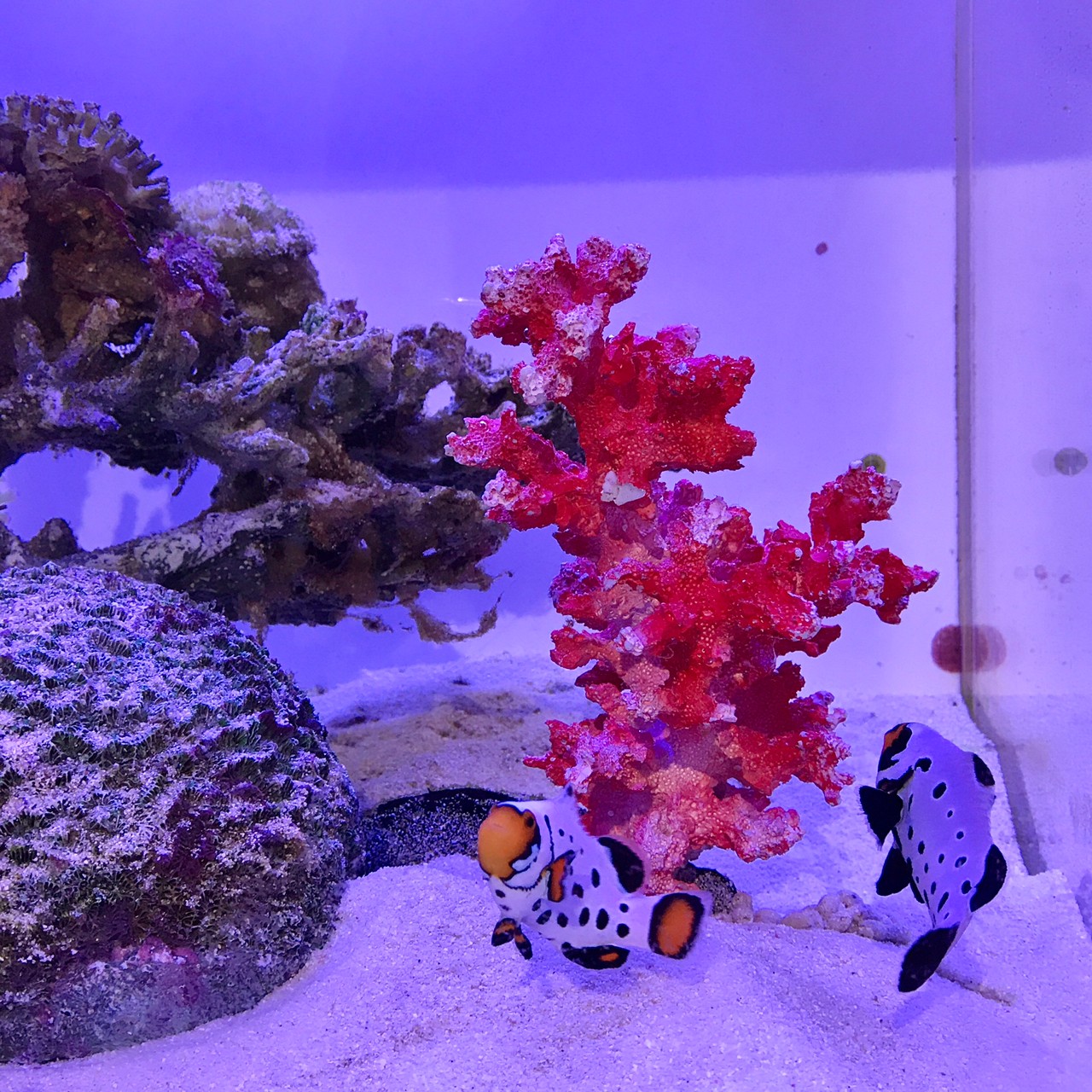 澎湖旅遊|不玩水也能假期滿分的精華攻略!完美排出老少咸宜的離島之旅~ 叮咚News|分享新奇與樂趣