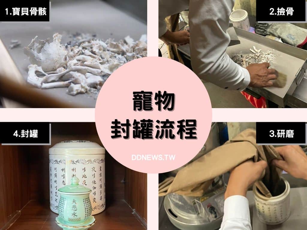 寵物生命禮儀|如何與毛小孩度過人生最後一段旅程?3種後事處理方法告訴你! 寵物封罐流程