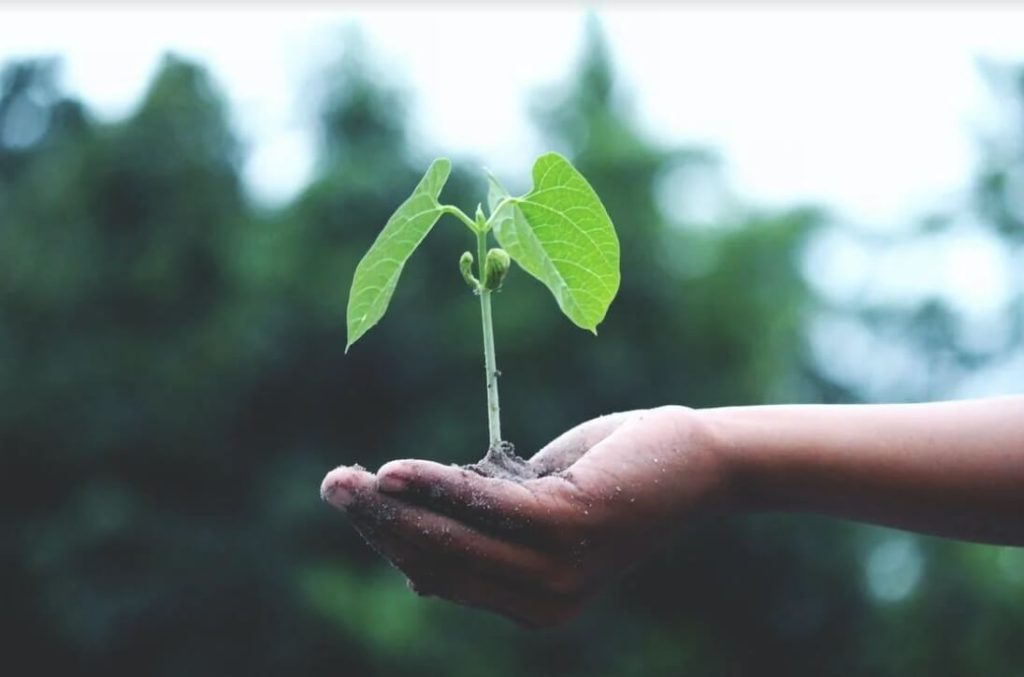 定期定額存股真的好嗎?複利滾動的效益 叮咚News|分享新奇與樂趣