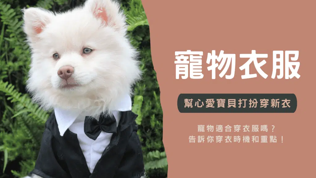 【寵物注意】幫寵物穿衣服好嗎？告訴你穿衣時機和重點！