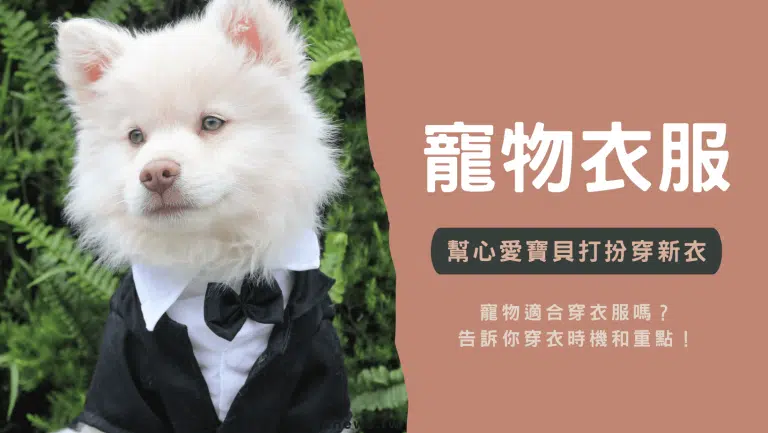 【寵物注意】幫寵物穿衣服好嗎？告訴你穿衣時機和重點！