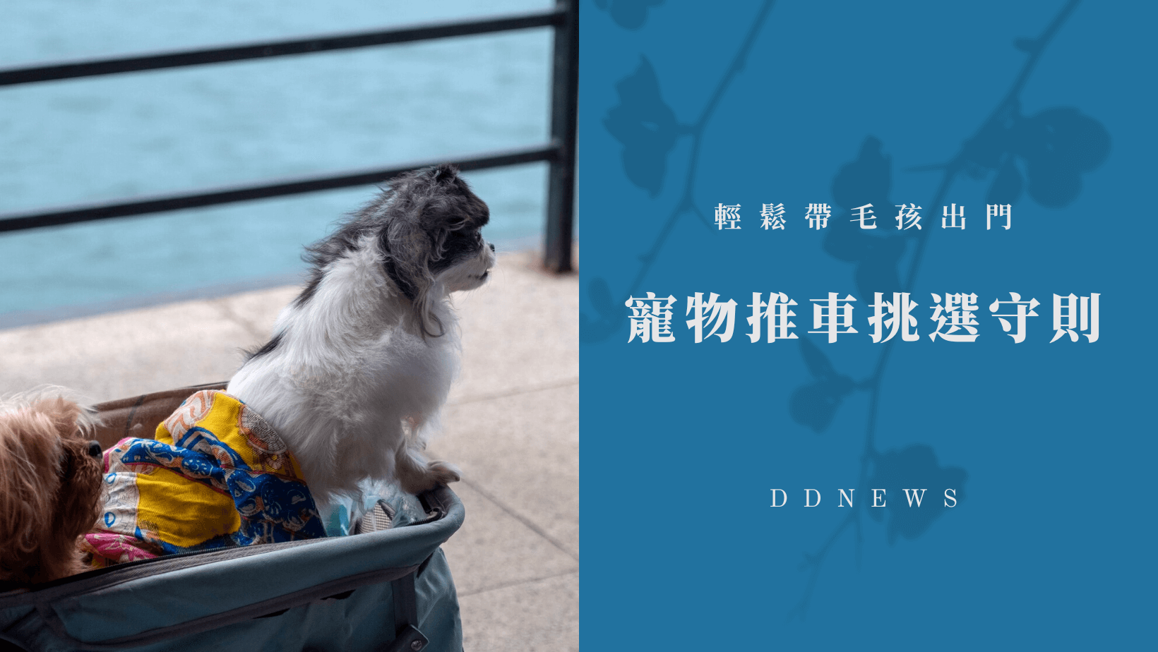 寵物日常 寵物推車挑選守則