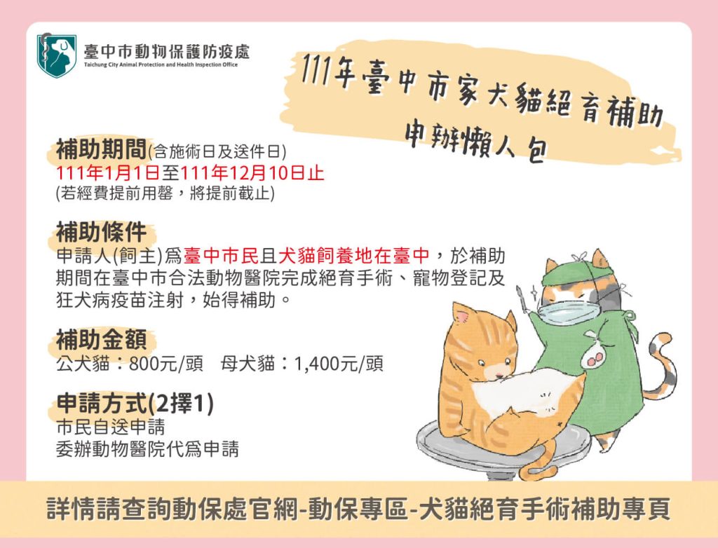 2026最新貓咪結紮資訊|節育流程費用及術後照顧總整理! 叮咚News|分享新奇與樂趣