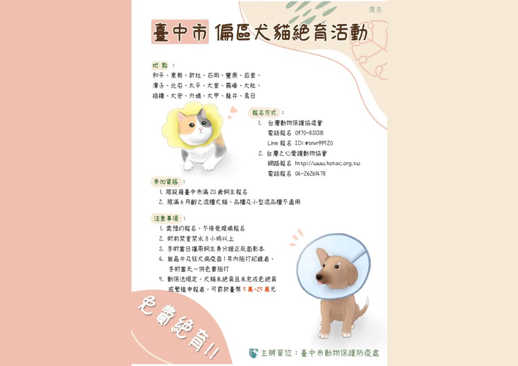 2026最新貓咪結紮資訊|節育流程費用及術後照顧總整理! 叮咚News|分享新奇與樂趣