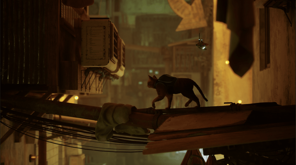 浪貓 Stray|遊戲介紹、評價、心得、PS5 Steam售價全解析 叮咚News|分享新奇與樂趣
