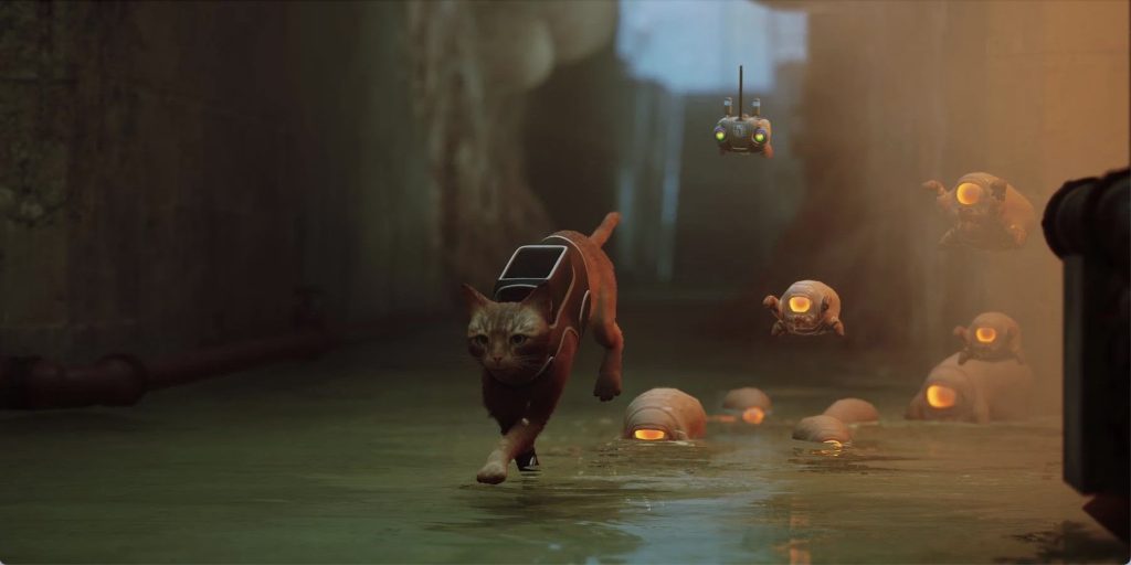 浪貓 Stray|遊戲介紹、評價、心得、PS5 Steam售價全解析 叮咚News|分享新奇與樂趣