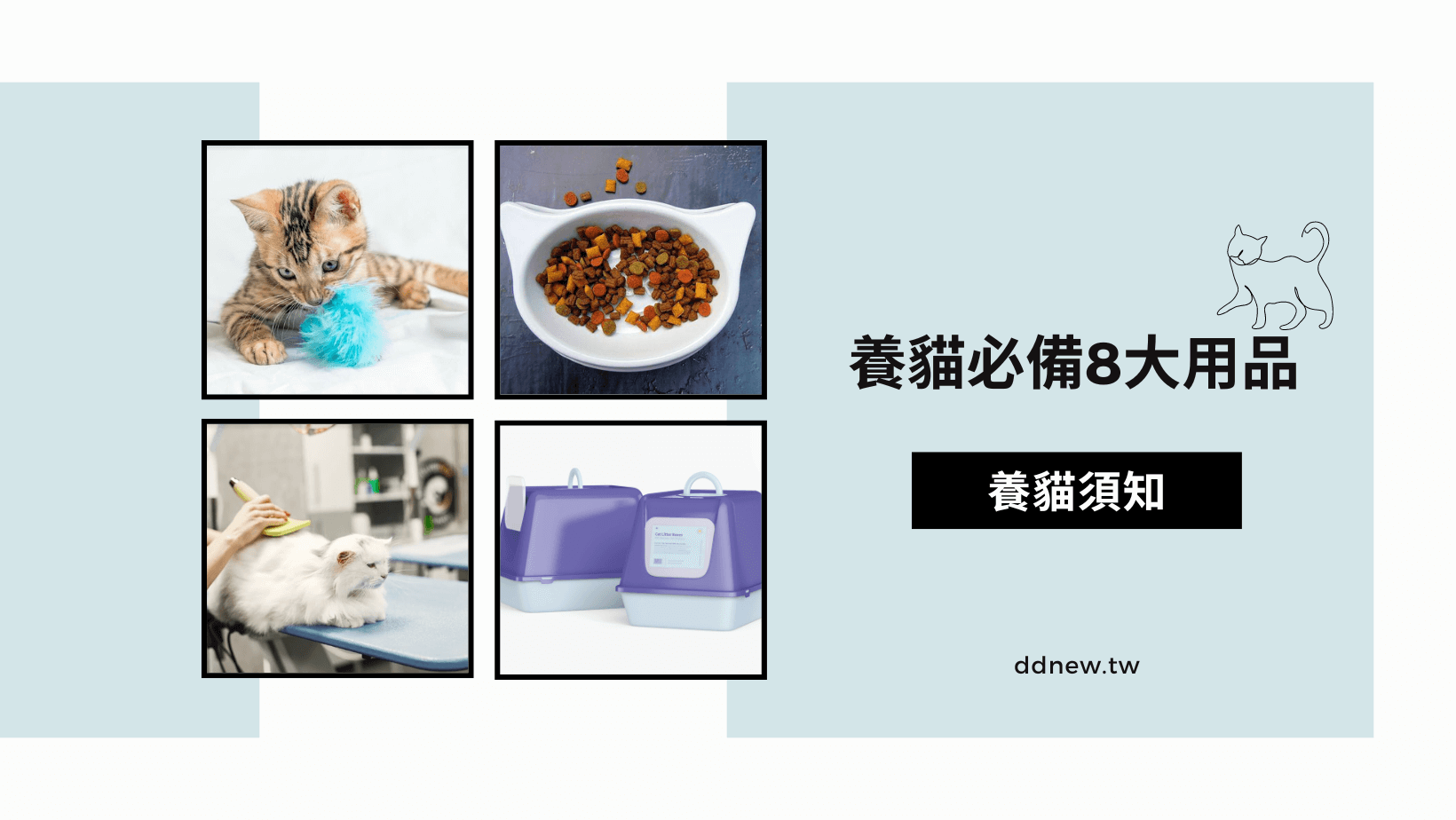 寵物日常 養貓須知x必備8大貓用品!