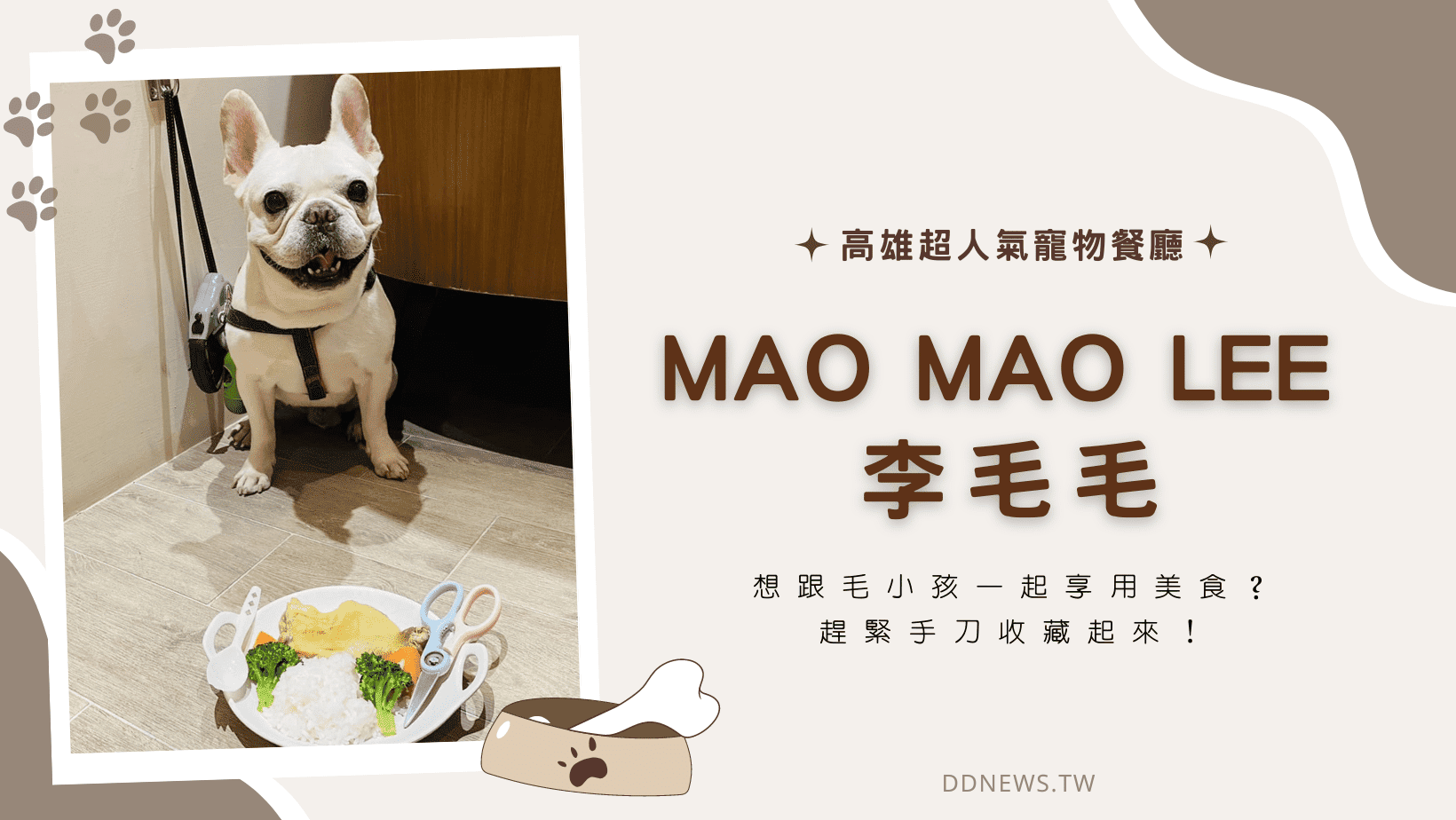 寵物日常 Mao Mao Lee 李毛毛