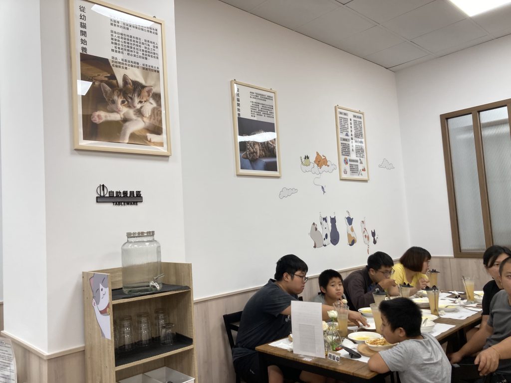 浪愛有家中途貓餐廳|給貓咪一個溫暖的家,可愛貓咪陪你吃飯,和你一起玩! 浪愛有家|貓中途寵物餐廳,