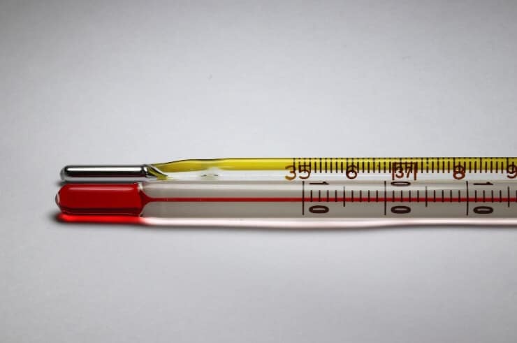 狗狗發燒怎麼判斷?5大症狀觀察出端倪!外加3招照護方式分享 叮咚News|分享新奇與樂趣