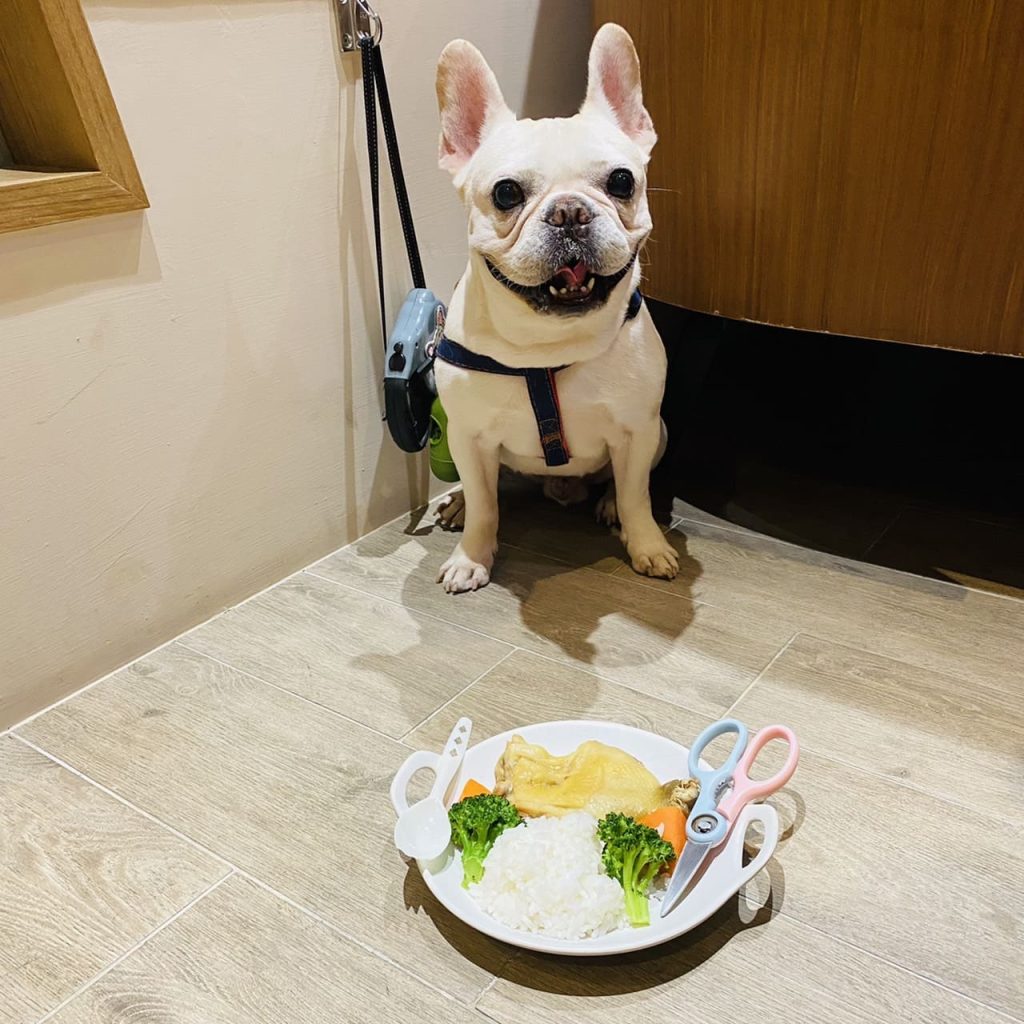 【高雄寵物餐廳推薦】想跟毛小孩一起享用美食?高雄超人氣寵物餐廳「Mao Mao Lee 李毛毛」手刀收藏起來! Mao Mao Lee 李毛毛寵物餐廳/寵物餐點