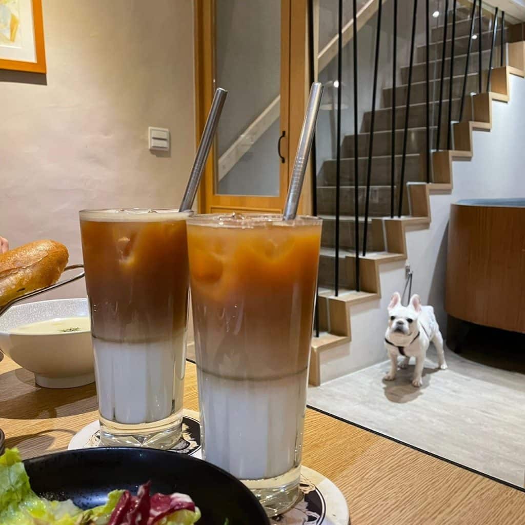 【高雄寵物餐廳推薦】想跟毛小孩一起享用美食?高雄超人氣寵物餐廳「Mao Mao Lee 李毛毛」手刀收藏起來! Mao Mao Lee 李毛毛寵物餐廳/飲料