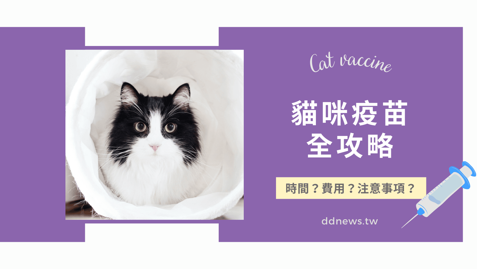 寵物日常 貓咪疫苗完整攻略