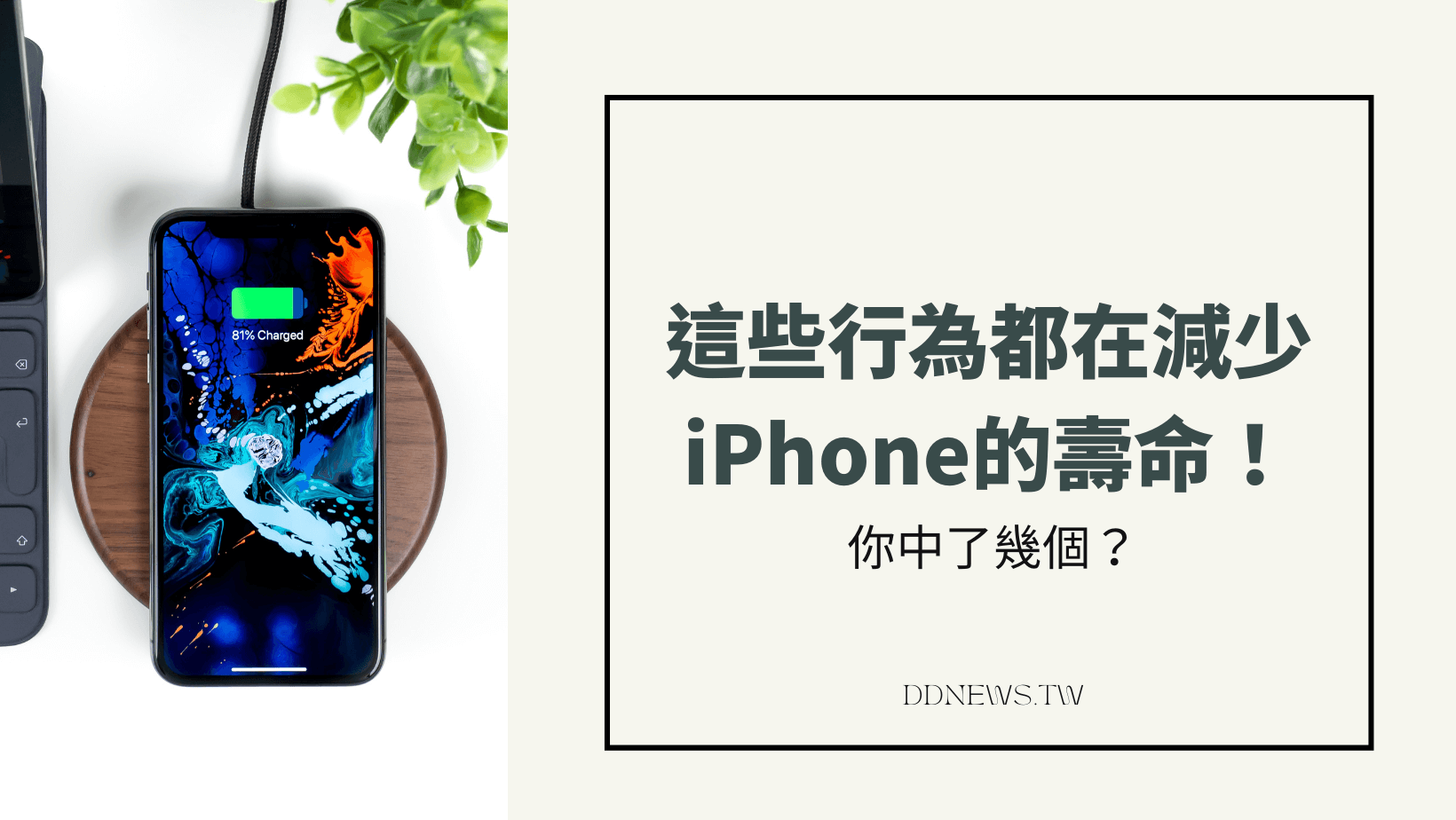 3C通訊 手機保養懶人包大公開