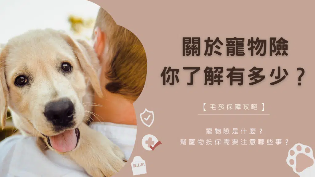 【毛孩保障攻略】寵物險是什麼？幫寵物投保需要注意哪些事？