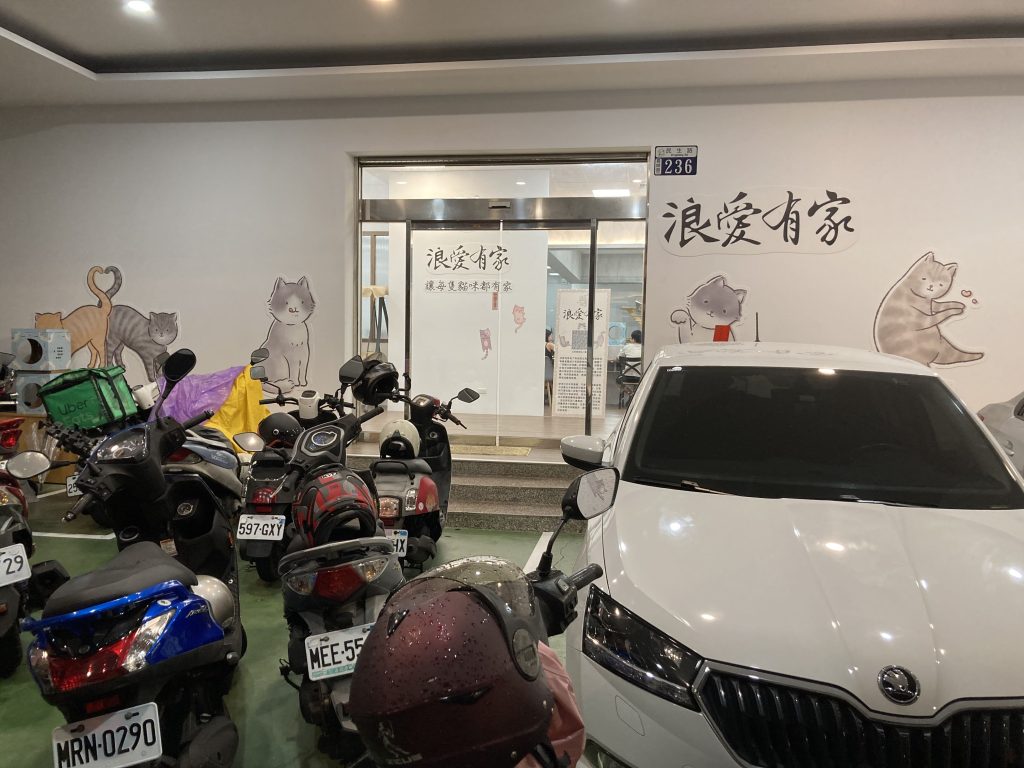 浪愛有家｜貓中途寵物餐廳，可愛貓咪陪你互動，有吃又有玩！