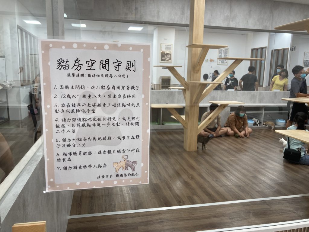 浪愛有家｜貓中途寵物餐廳，可愛貓咪陪你互動，有吃又有玩！