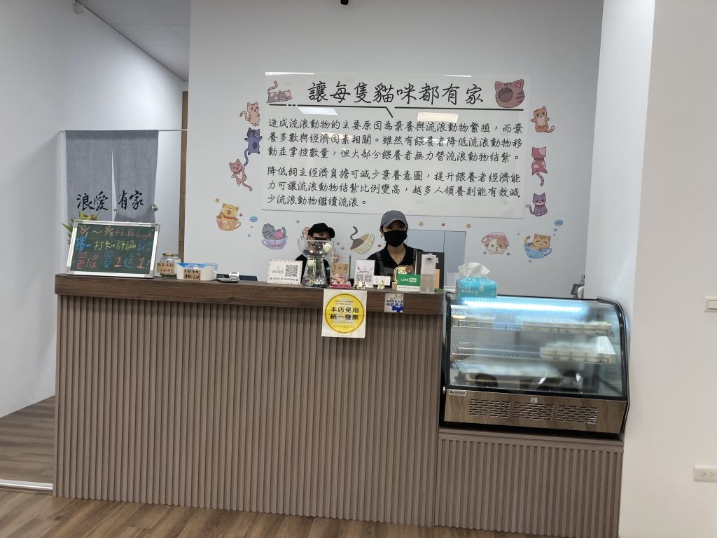 貓中途寵物餐廳，可愛貓咪陪你互動，