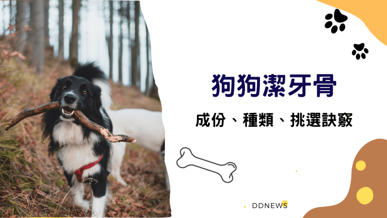 寵物日常 狗狗潔牙骨成份、種類、挑選訣竅一次看懂