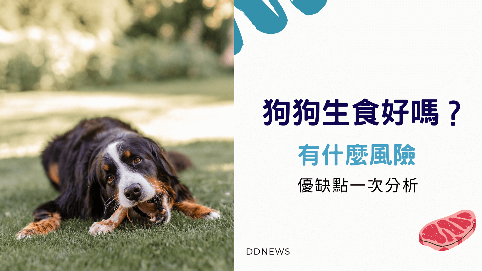 狗狗肚子一直叫怎麼辦?很可能是這4大因素所造成!釐清狗狗肚子的所有問題,必看狗狗營養保健總整理 狗狗零食推薦 健康+無毒+營養 (2026熱銷款) 狗狗生食可行嗎
