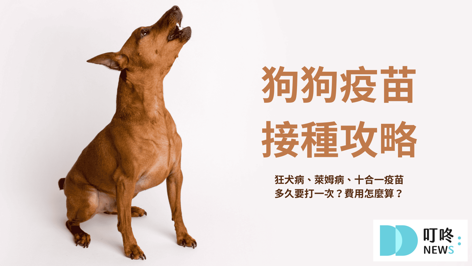 寵物日常 狗狗疫苗